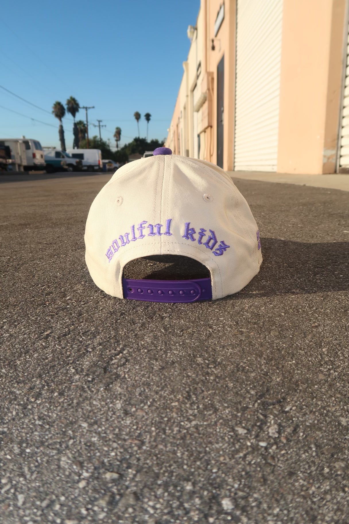 Purple Heat Hat Toddler